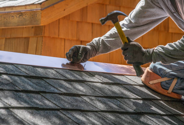 Best Roof Moss and Algae Removal  in Leonardo, NJ